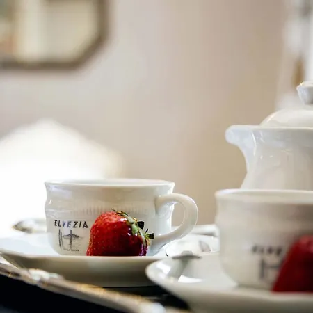 Отель Boutique Elvezia